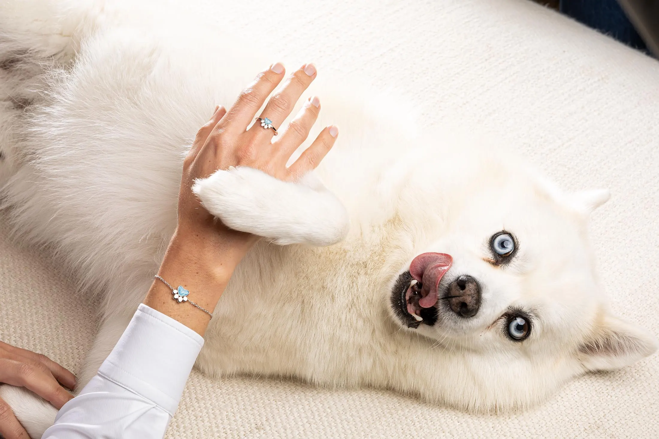 White dog lying on its back beside a hand wearing the WithMe Empreinte Ring